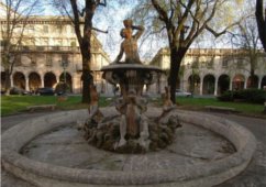 piazza dante web