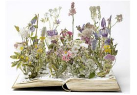 librobotanica web