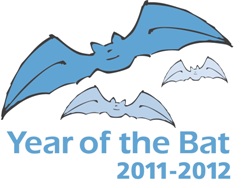 Logo_Yearofthebat
