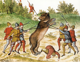 ursus-009