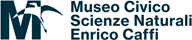 Museo Civico di Scienze Naturali di Bergamo