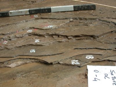Dettaglio livelli rocciosi presso il sito paleontologico di Cene (BG)