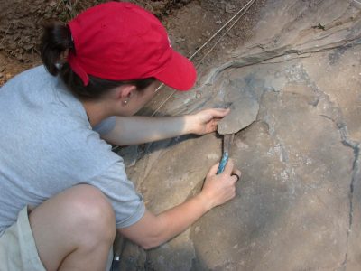 Dettaglio attività di ricerca paleontologica