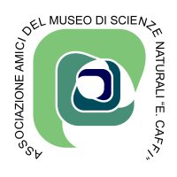logo amici museo alta definiz_Colori_Nuovo